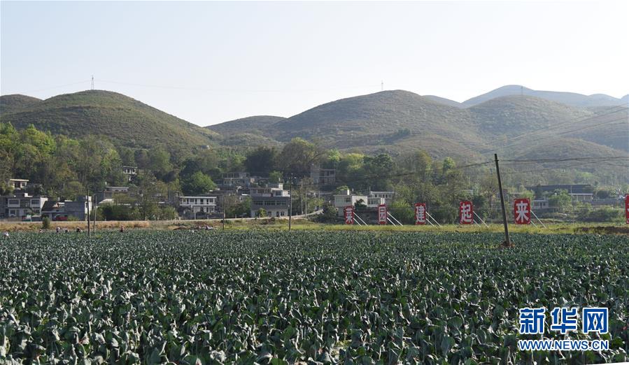 （決戰(zhàn)決勝脫貧攻堅(jiān)&middot;圖文互動(dòng)）（2）逐項(xiàng)逐戶(hù)排查補(bǔ)齊脫貧攻堅(jiān)&ldquo;短板&rdquo;&mdash;&mdash;貴州晴隆縣扶貧一線工作見(jiàn)聞 