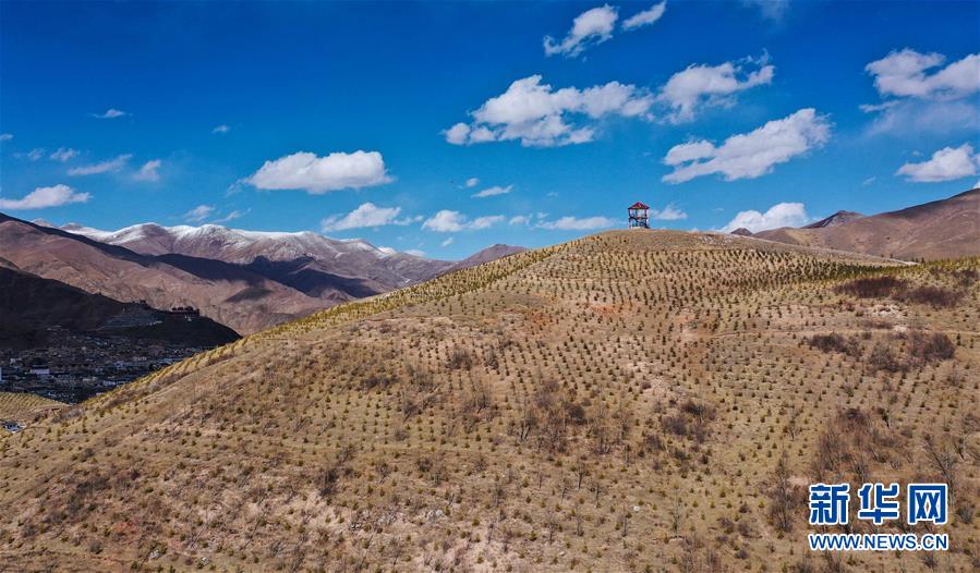 (新華全媒頭條·圖文互動(dòng))(6)三江之源見(jiàn)證中國(guó)奇跡——寫(xiě)在玉樹(shù)地震10周年之際