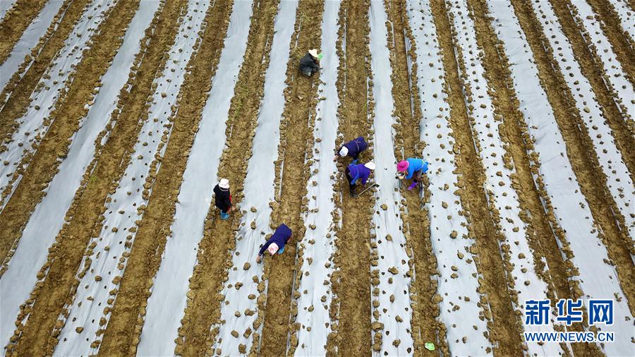 (在習(xí)近平新時(shí)代中國(guó)特色社會(huì)主義思想指引下——新時(shí)代新作為新篇章·習(xí)近平總書(shū)記關(guān)切事·圖文互動(dòng))(8)啃下最后的硬骨頭——脫貧攻堅(jiān)掛牌督戰(zhàn)進(jìn)行時(shí)