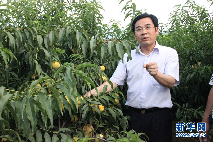 （圖文互動(dòng)）（2）&ldquo;為脫貧而來(lái)，為脫貧而去&rdquo;&mdash;&mdash;追記湖南炎陵縣委原書記黃詩(shī)燕 