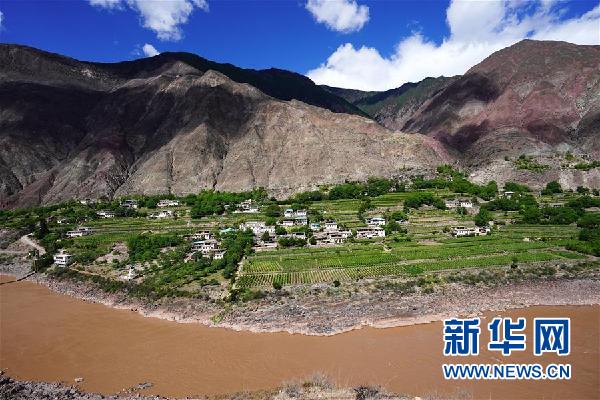 （決戰(zhàn)決勝脫貧攻堅&middot;圖文互動）（1）西藏昌都&ldquo;甜蜜&rdquo;產(chǎn)業(yè)助脫貧