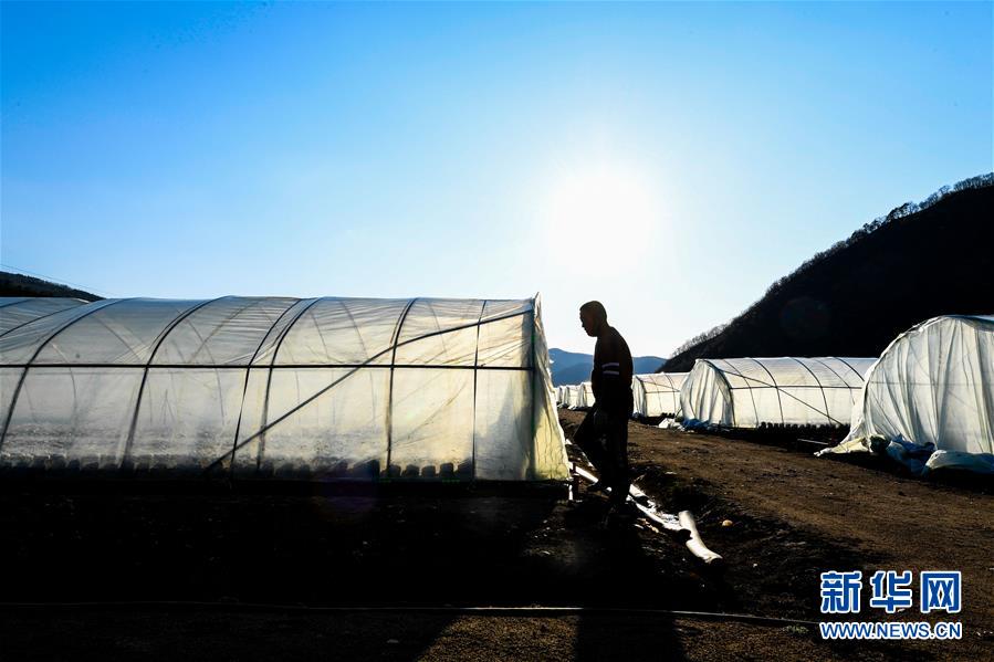 （決戰(zhàn)決勝脫貧攻堅(jiān)&middot;圖文互動）（10）長白山下唱新篇&mdash;&mdash;吉林延邊州脫貧攻堅(jiān)觀察