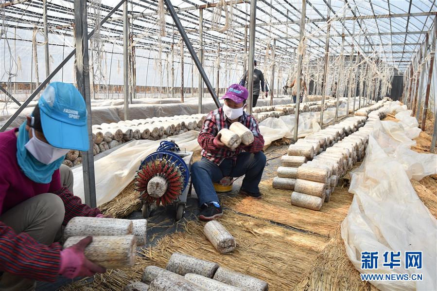 （決戰(zhàn)決勝脫貧攻堅(jiān)&middot;圖文互動）（4）長白山下唱新篇&mdash;&mdash;吉林延邊州脫貧攻堅(jiān)觀察