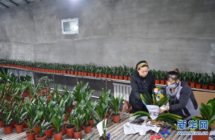 （決戰(zhàn)決勝脫貧攻堅(jiān)&middot;圖文互動）（11）長白山下唱新篇&mdash;&mdash;吉林延邊州脫貧攻堅(jiān)觀察