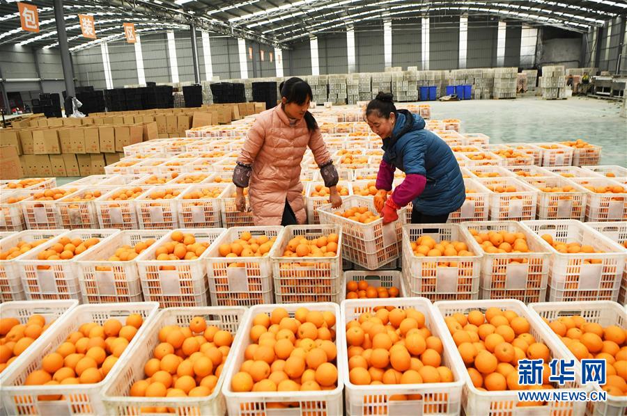 （新華全媒頭條&middot;圖文互動）（6）待到滿山紅葉時&mdash;&mdash;三峽重慶庫區(qū)踐行新發(fā)展理念面面觀