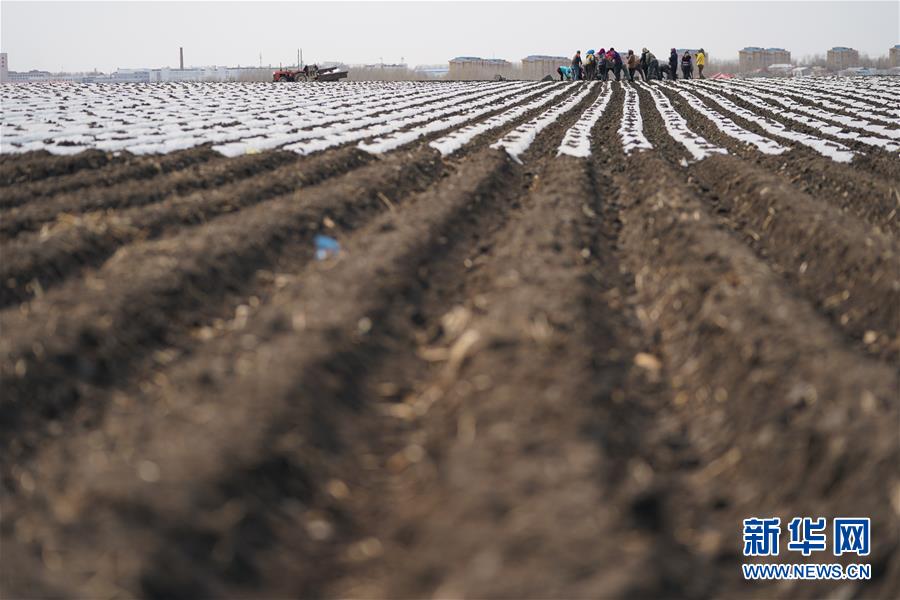 （在習近平新時代中國特色社會主義思想指引下&mdash;&mdash;新時代新作為新篇章&middot;習近平總書記關切事&middot;圖文互動）（3）讓每一寸耕地都成為豐收的沃土&mdash;&mdash;我國加強耕地保護推進&ldquo;藏糧于地&rdquo;