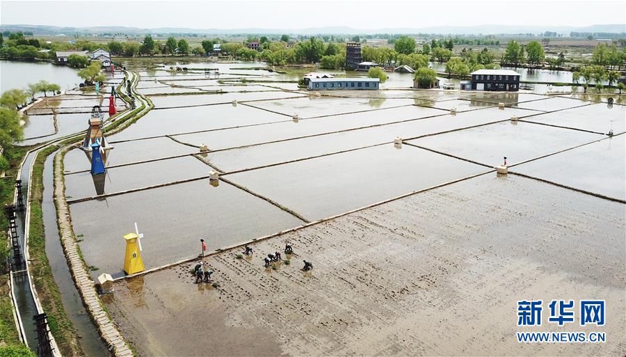 （在習(xí)近平新時代中國特色社會主義思想指引下&mdash;&mdash;新時代新作為新篇章&middot;習(xí)近平總書記關(guān)切事&middot;圖文互動）（1）讓每一寸耕地都成為豐收的沃土&mdash;&mdash;我國加強耕地保護推進(jìn)&ldquo;藏糧于地&rdquo;