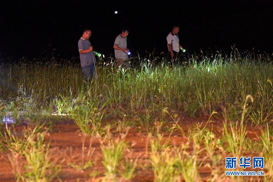 （防汛抗洪&middot;圖文互動）（2）&ldquo;保衛(wèi)家園，誰都不能是旁觀者&rdquo;&mdash;&mdash;夜訪洞庭湖大堤防汛一線