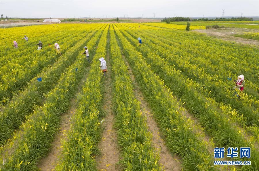 （新華全媒頭條&middot;走向我們的小康生活&middot;圖文互動）（11）23萬人的命運(yùn)轉(zhuǎn)折&mdash;&mdash;我國最大易地生態(tài)移民安置區(qū)的脫貧密碼