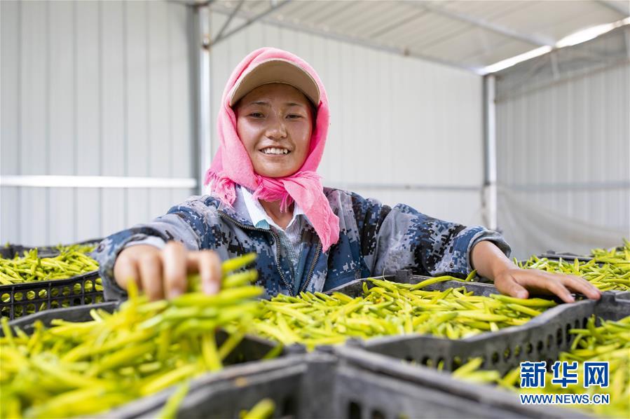 （新華全媒頭條&middot;走向我們的小康生活&middot;圖文互動）（12）23萬人的命運(yùn)轉(zhuǎn)折&mdash;&mdash;我國最大易地生態(tài)移民安置區(qū)的脫貧密碼