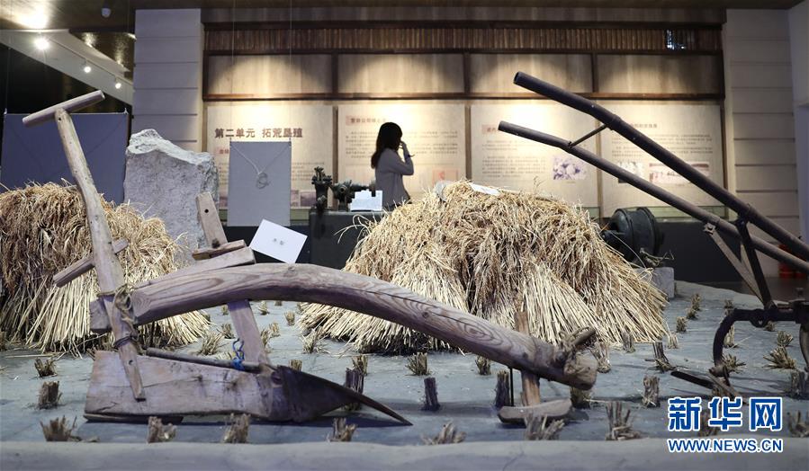 （新華全媒頭條&middot;走向我們的小康生活&middot;圖文互動）（10）&ldquo;南大荒&rdquo;變&ldquo;稻蟹鄉(xiāng)&rdquo;&mdash;&mdash;資源枯竭型城市盤錦的鄉(xiāng)村振興之路