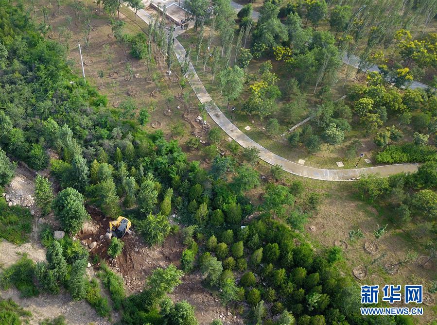 （新華全媒頭條&middot;圖文互動(dòng)）（15）扎實(shí)推進(jìn)籌辦，不負(fù)青春韶華&mdash;&mdash;北京冬奧會(huì)籌辦備戰(zhàn)克服疫情影響平穩(wěn)推進(jìn)