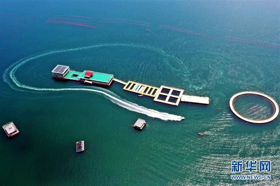 (圖文互動(dòng))(2)把“試驗(yàn)田”種成“高產(chǎn)田”——記中國(guó)(山東)自由貿(mào)易試驗(yàn)區(qū)設(shè)立一周年