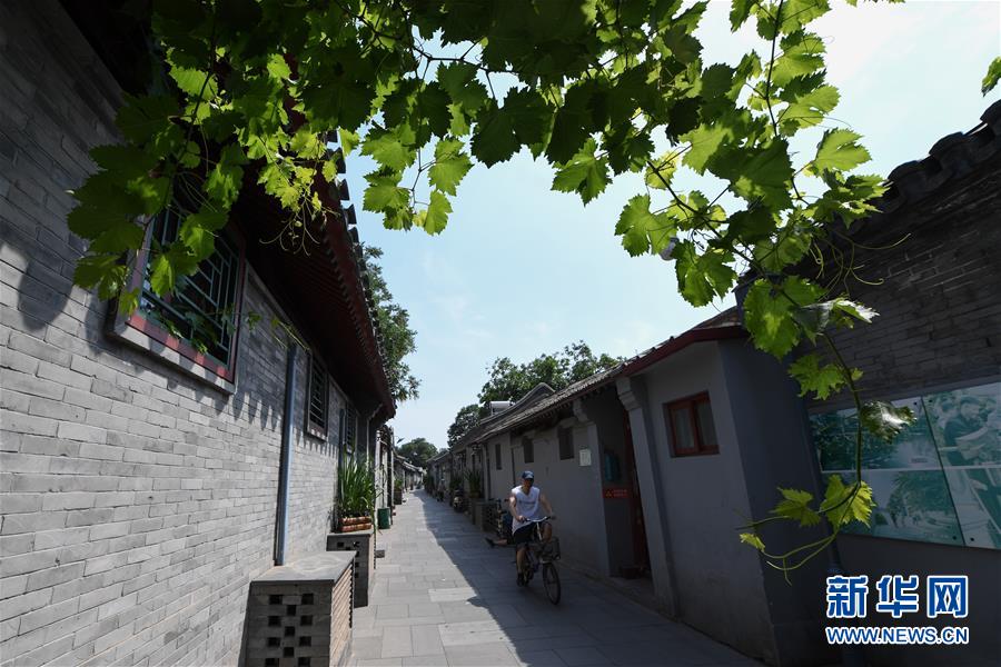 （走向我們的小康生活&middot;圖文互動(dòng)）（1）小橋、流水、書(shū)香、人家&mdash;&mdash;老北京胡同里的恬靜棲居