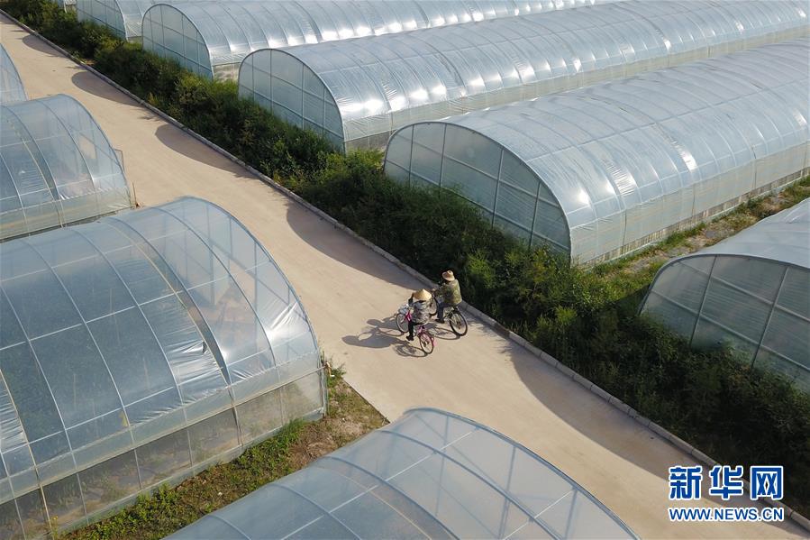 （走向我們的小康生活&middot;圖文互動(dòng)）（3）&ldquo;荒涼&rdquo;土地掘金記&mdash;&mdash;甘肅旱作農(nóng)業(yè)發(fā)展&ldquo;變奏曲&rdquo;