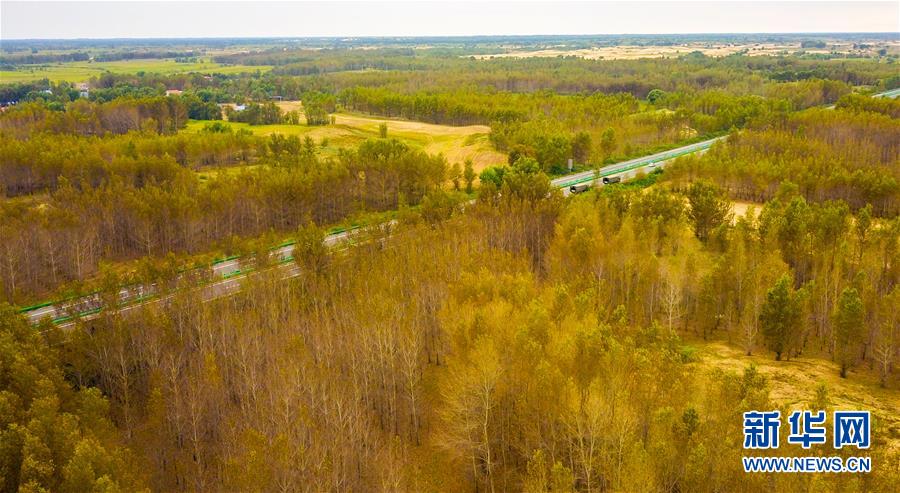 （在習(xí)近平新時(shí)代中國特色社會(huì)主義思想指引下&mdash;&mdash;新時(shí)代新作為新篇章&middot;習(xí)近平總書記關(guān)切事&middot;圖文互動(dòng)）（3）綠意，在黃沙中鋪展&mdash;&mdash;我國防沙治沙紀(jì)實(shí)