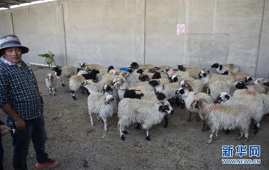 （集中連片特困地區(qū)貧困村調(diào)研行&middot;圖文互動(dòng)）（4）長江源村人的兩個(gè)家和幸福夢(mèng)&mdash;&mdash;青海格爾木市長江源村脫貧調(diào)查