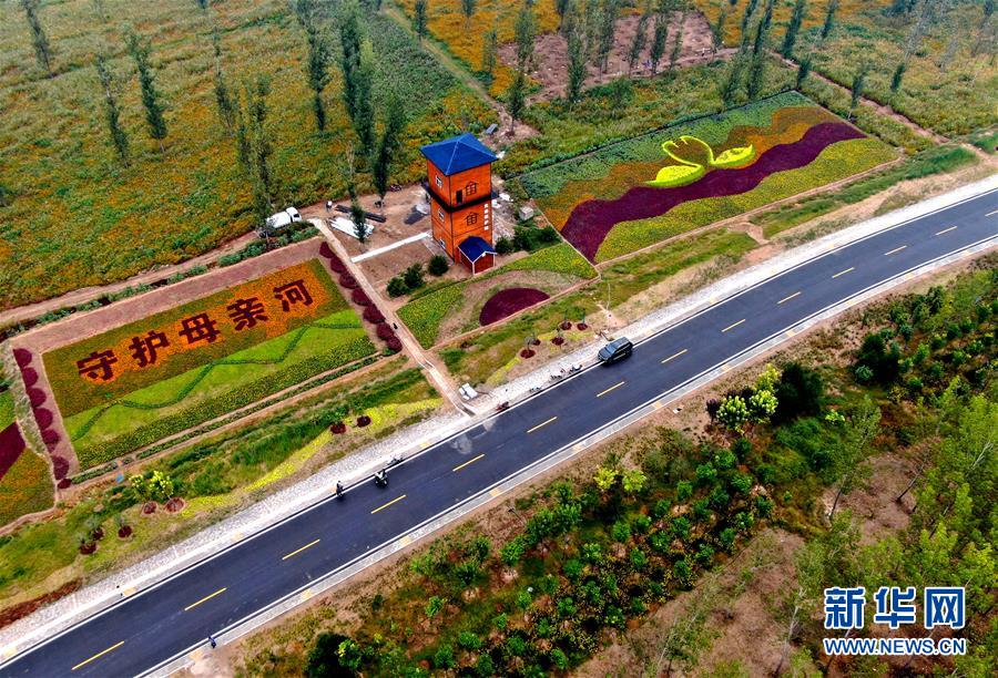 （新華全媒頭條&middot;圖文互動）（6）從&ldquo;四亂&rdquo;突出到生態(tài)修復 黃河漸成中原&ldquo;綠飄帶&rdquo;