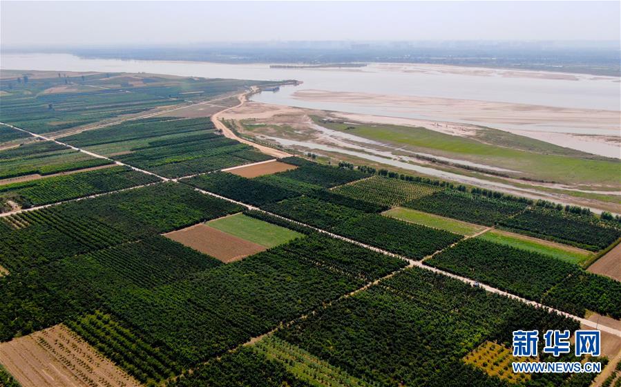 （新華全媒頭條&middot;圖文互動）（9）從&ldquo;四亂&rdquo;突出到生態(tài)修復 黃河漸成中原&ldquo;綠飄帶&rdquo;