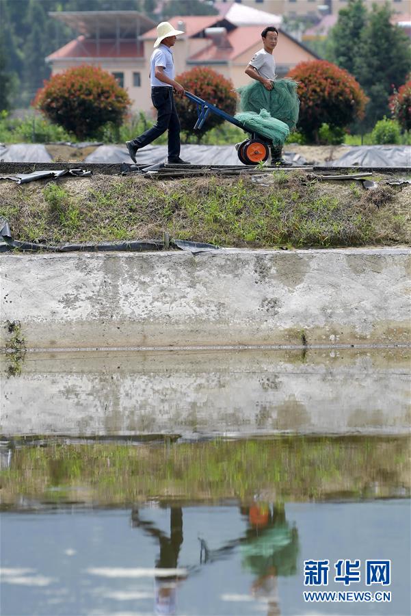 （新華全媒頭條&middot;圖文互動(dòng)）（3）幕阜山&ldquo;搬窮&rdquo;記