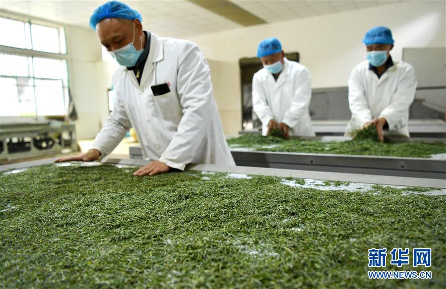 （新華全媒頭條&middot;圖文互動）（22）從人民中汲取磅礴力量&mdash;&mdash;習(xí)近平總書記同出席2020年全國兩會人大代表、政協(xié)委員共商國是紀(jì)實