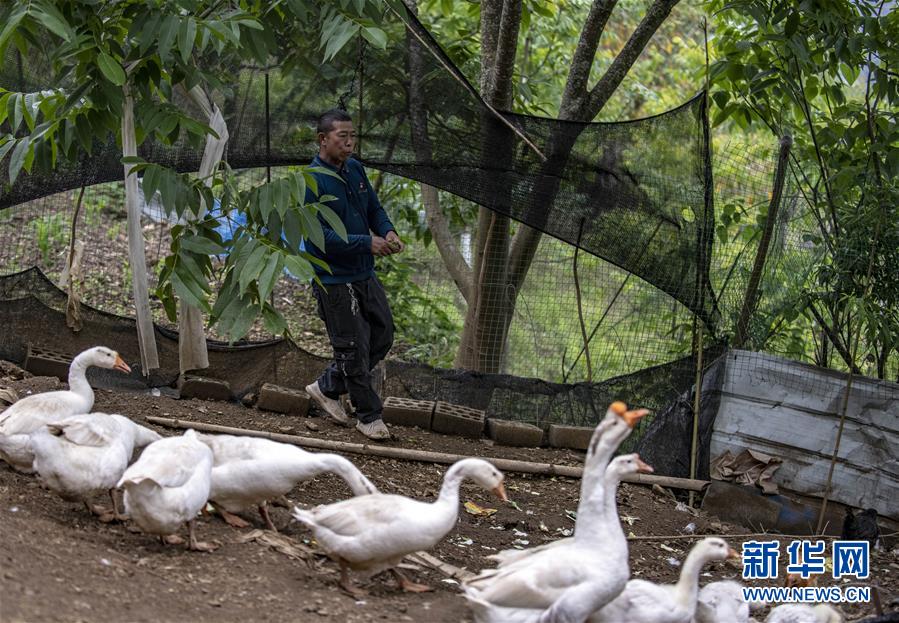 （新華全媒頭條&middot;兩會(huì)精神看落實(shí)&middot;圖文互動(dòng)）（8）培育新機(jī) 開辟新局&mdash;&mdash;落實(shí)全國兩會(huì)精神激發(fā)經(jīng)濟(jì)發(fā)展新動(dòng)能述評(píng)