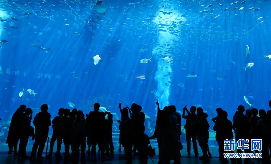 （在習近平新時代中國特色社會主義思想指引下&mdash;&mdash;新時代新作為新篇章&middot;習近平總書記關切事&middot;圖文互動）（9）感受開放新魅力&mdash;&mdash;海南自由貿(mào)易港建設開局觀察