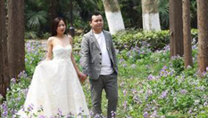 南京理工大學(xué)二月蘭盛開(kāi)&ldquo;醉&rdquo;美校園