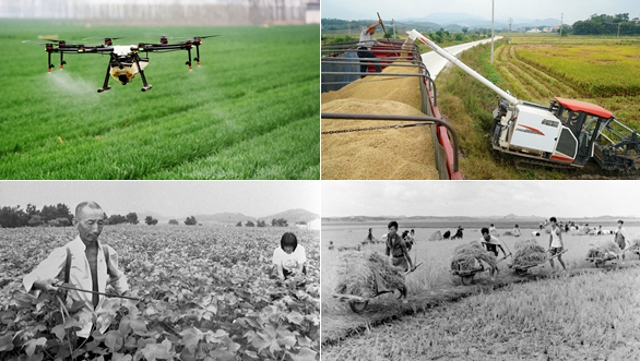 壯麗70年&middot;奮斗新時(shí)代丨在希望的田野上