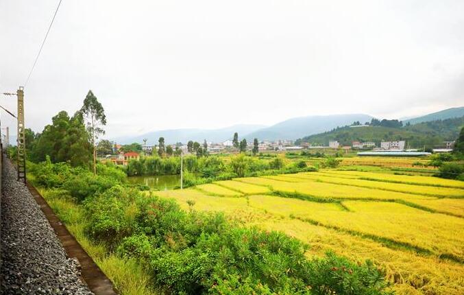 坐著高鐵看中國(guó)｜走成昆，感受闖過禁區(qū)的光影記錄