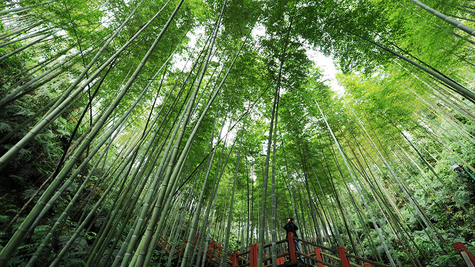 合作共治、責任共擔、效益共享&mdash;&mdash;赤水河流域跨省生態(tài)補償取得積極成效