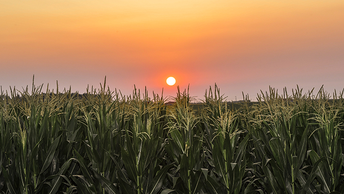 風卷紅旗過大關(guān)&mdash;&mdash;以習近平同志為核心的黨中央領(lǐng)航中國為實現(xiàn)第一個百年奮斗目標而奮勇拼搏紀實