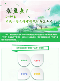 劃重點(diǎn)！2019年中央一號文件中的硬任務(wù)怎么干