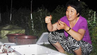 最美基層干部:&ldquo;外來媳婦&rdquo;譜寫女村官傳奇