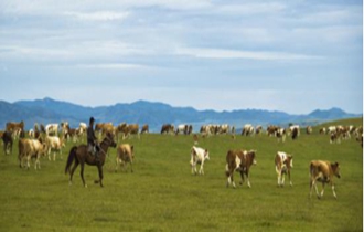 華能北方公司：奔小康，咱肯定能