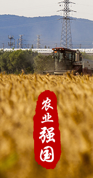 農(nóng)業(yè)強(qiáng)國(guó)是社會(huì)主義現(xiàn)代化強(qiáng)國(guó)的根基。