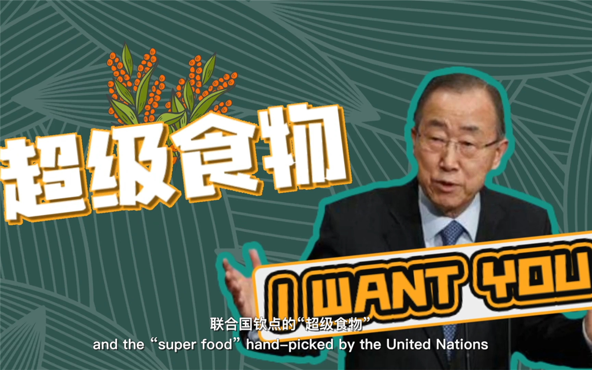 聯(lián)合國(guó)將藜麥視為抗擊饑餓的&ldquo;超級(jí)食物&rdquo;，大力推廣