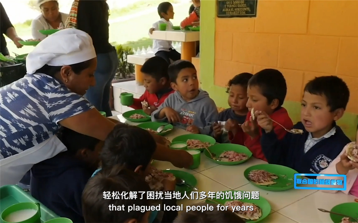 藜麥的蹤跡遍布北美、歐洲、亞洲和非洲多地