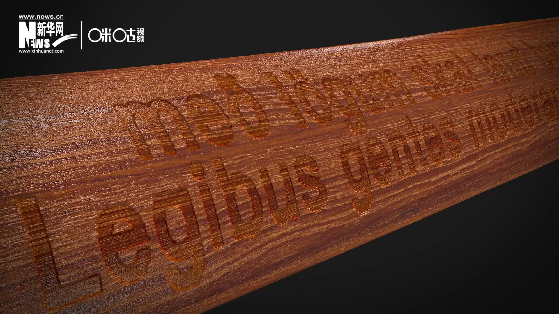 這把木槌尺寸超大、顏色棕紅、精雕細刻，上面刻有&ldquo;社會必須建立在法律的基礎上&rdquo;。