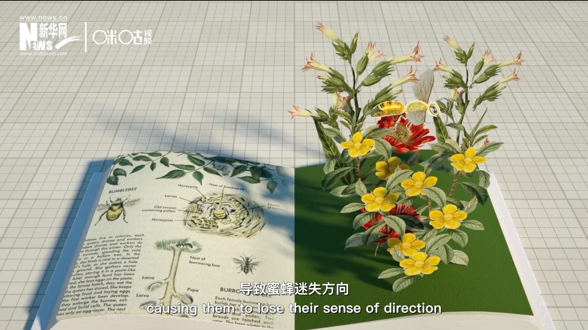 殺蟲劑會(huì)破壞蜜蜂的神經(jīng)系統(tǒng)，導(dǎo)致蜜蜂迷失方向，無法回到蜂房，還會(huì)降低蜜蜂的抵抗力