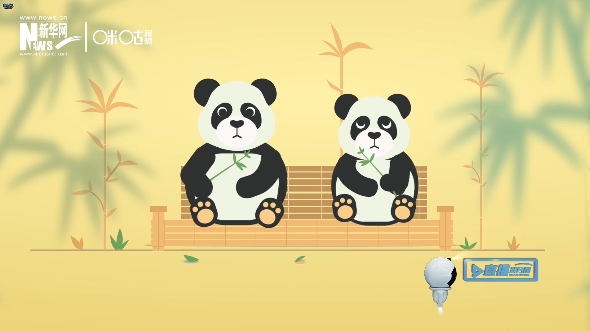 &ldquo;哥哥你看，又有人來看我們了。&rdquo;&ldquo;有什么奇怪的，我們可是聯(lián)合國&lsquo;最萌&rsquo;的大使啊！&rdquo;。