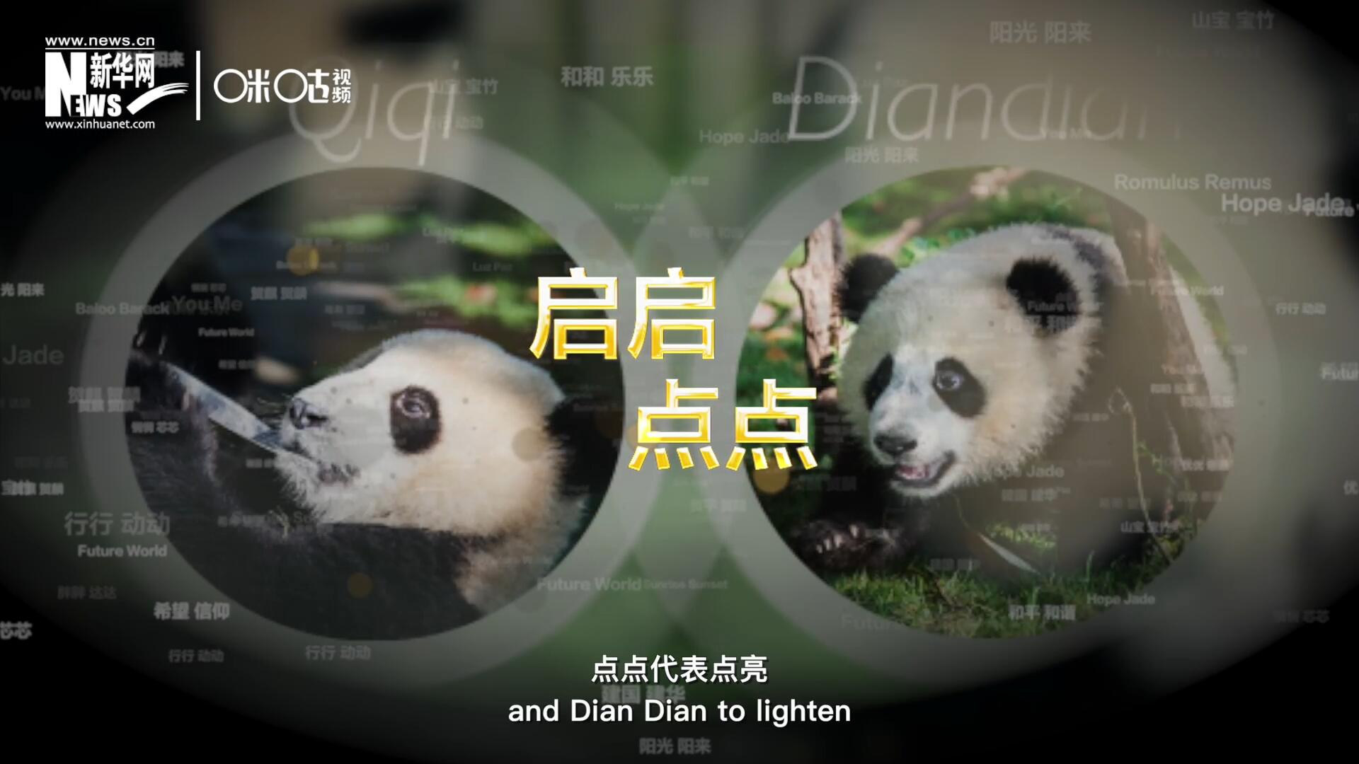 啟啟代表&ldquo;啟發(fā)&rdquo;，點點代表&ldquo;點亮&rdquo;，象征著2030年可持續(xù)發(fā)展議程 的&ldquo;起點&rdquo;，也象征著全球可持續(xù)發(fā)展路徑的新起點。