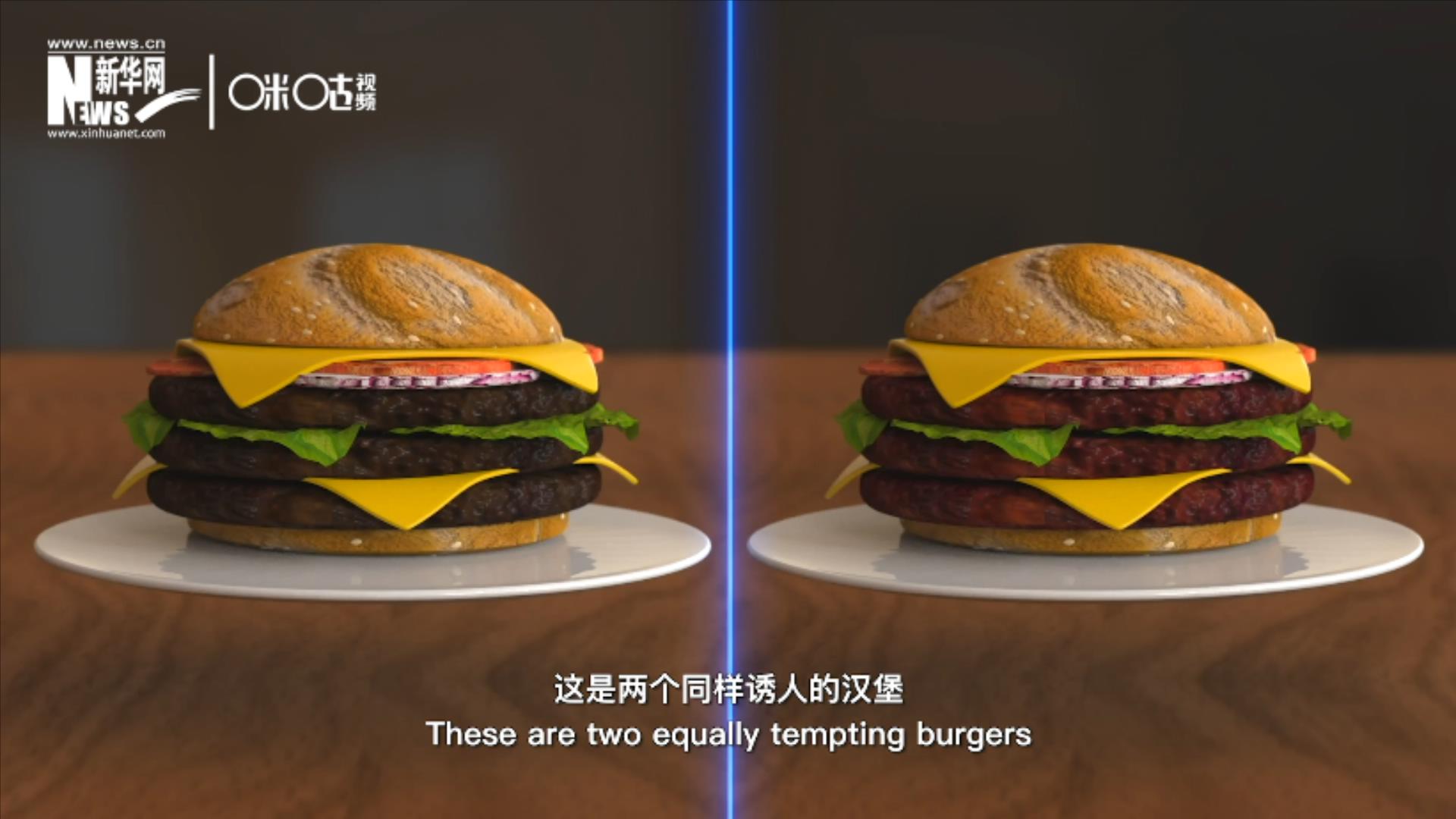 人造肉漢堡能在生產(chǎn)過程中節(jié)約水、土地、排放以及能量