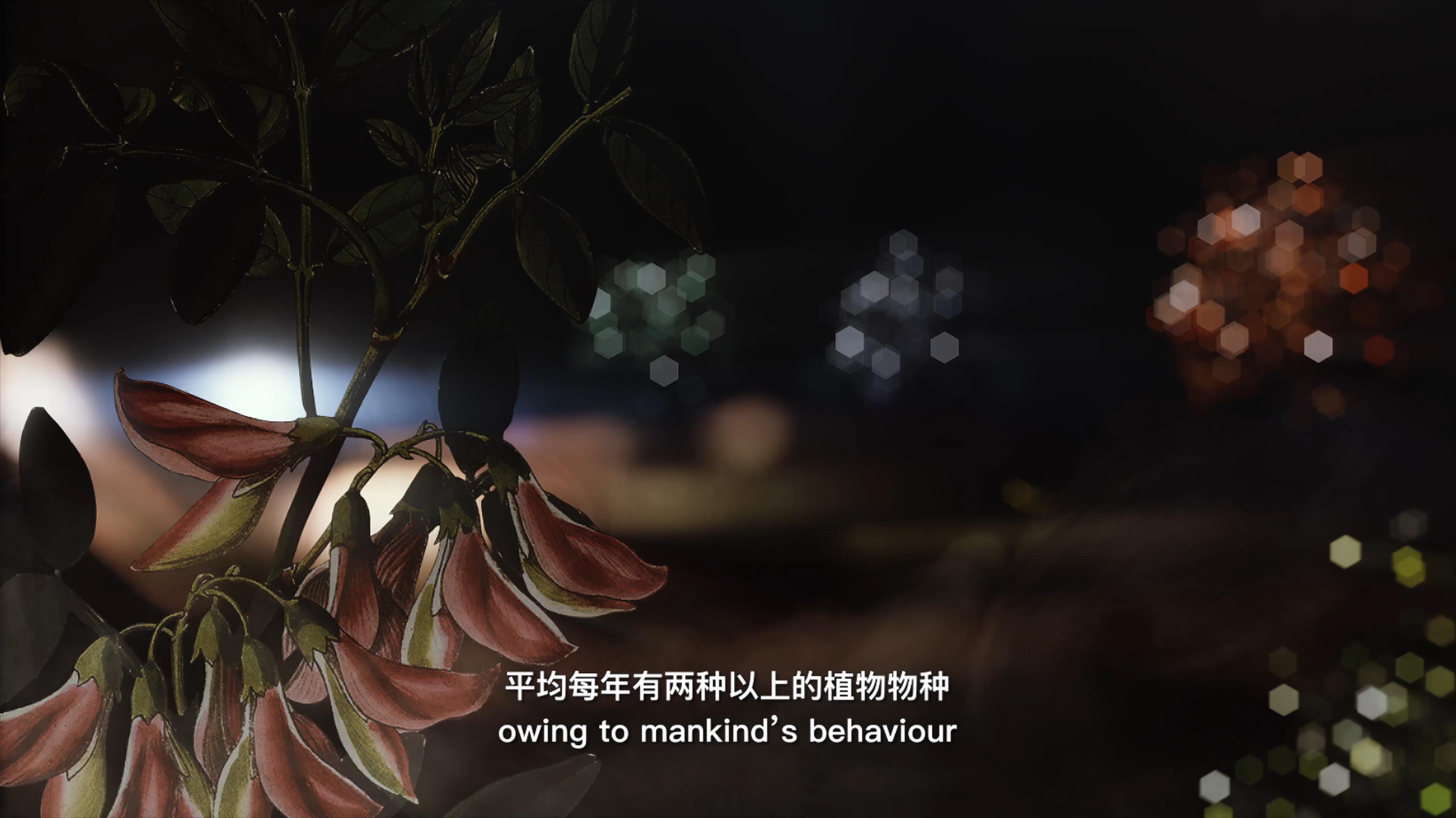 自18世紀(jì)中葉以來，許多植物物種因?yàn)槿祟惖脑蚨鴱牡厍蛏舷? />      
<div   id=