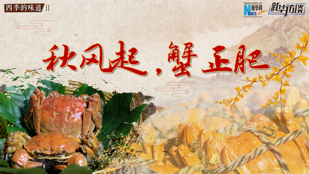 秋風(fēng)起，蟹正肥