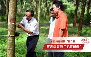 羊風(fēng)極和樹的&ldquo;膠&rdquo;情