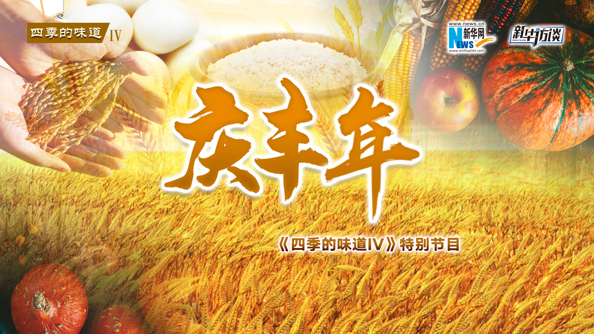 特別節(jié)目&middot;慶豐年