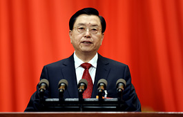 張德江作全國(guó)人大常委會(huì)工作報(bào)告