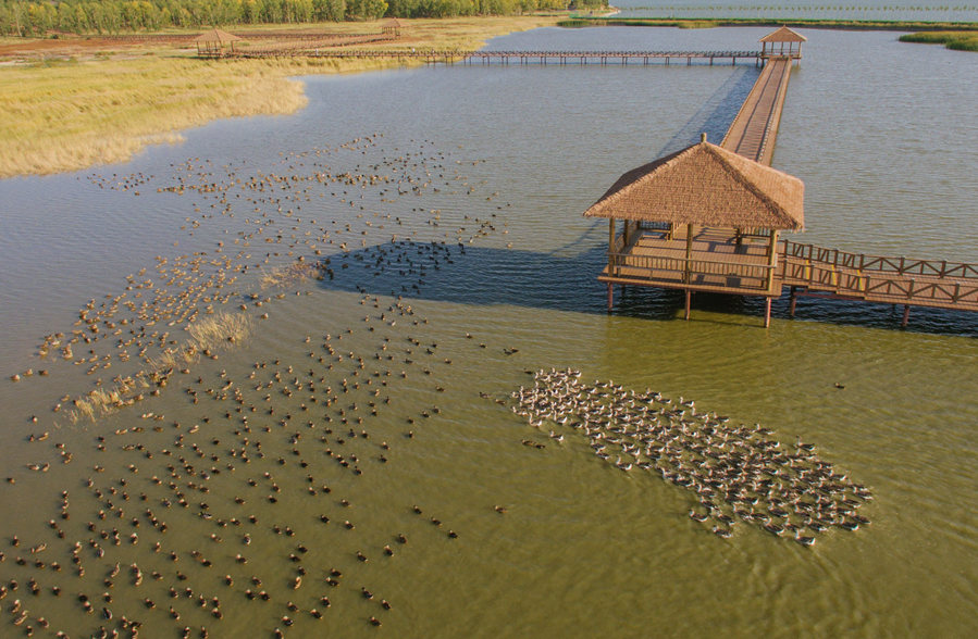 新華微評(píng)&middot;學(xué)習(xí)路上：生態(tài)興，百業(yè)旺
