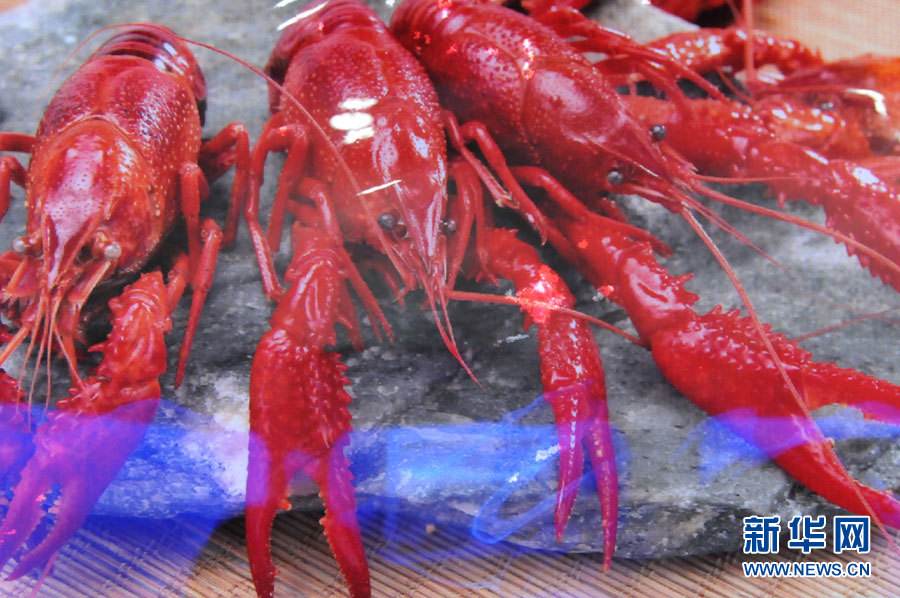 螺螄殼里做道場(chǎng)，小龍蝦吃出大產(chǎn)業(yè)